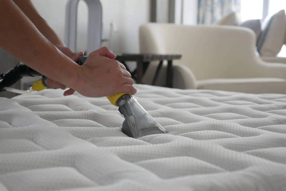 Caracteristici principale